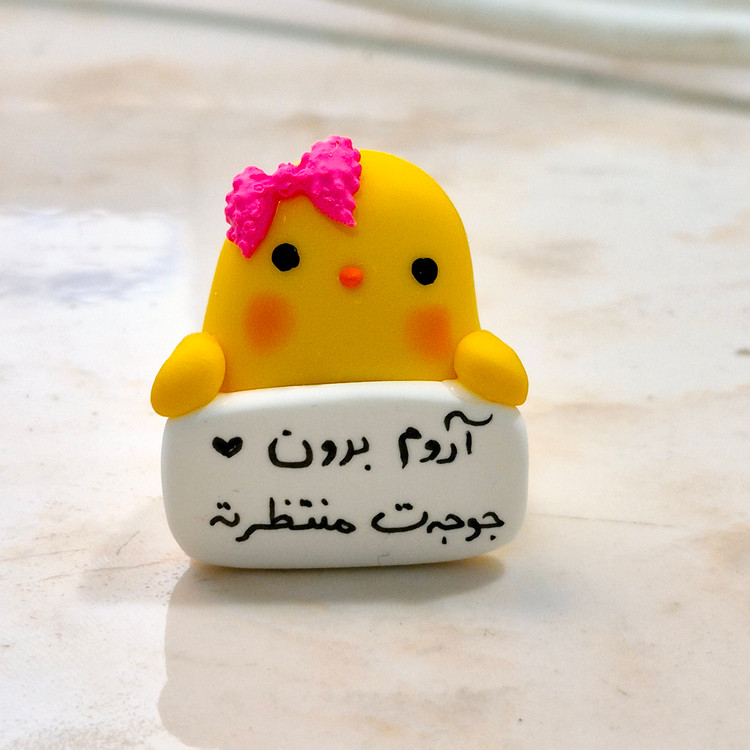 روداشبوردی خودرو جوجه . تکی. کادو عاشقانه . کادو والنتاین